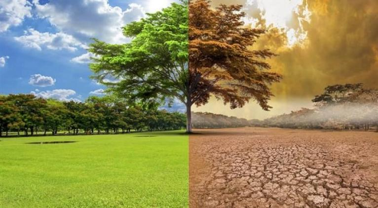 Les Nations Unies approuvent une résolution pour plus d'obligations gouvernementales concernant le changement climatique