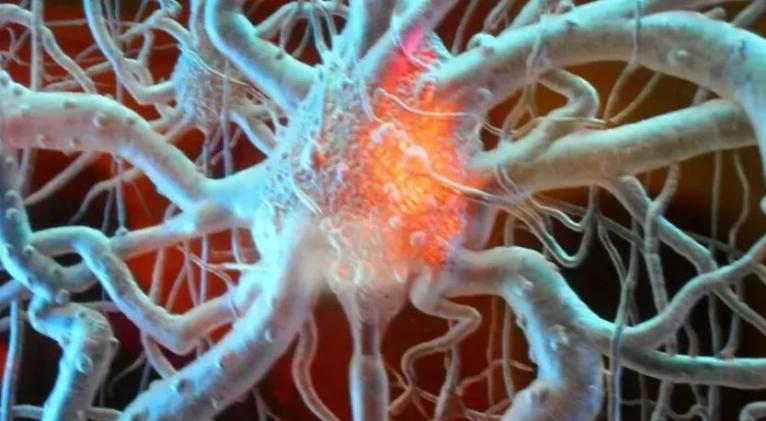 Los tumores son capaces de regenerar los nervios y la médula espinal