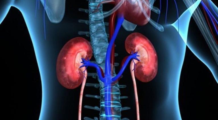 Enfermedad renal crónica: novena causa principal de muerte en el mundo