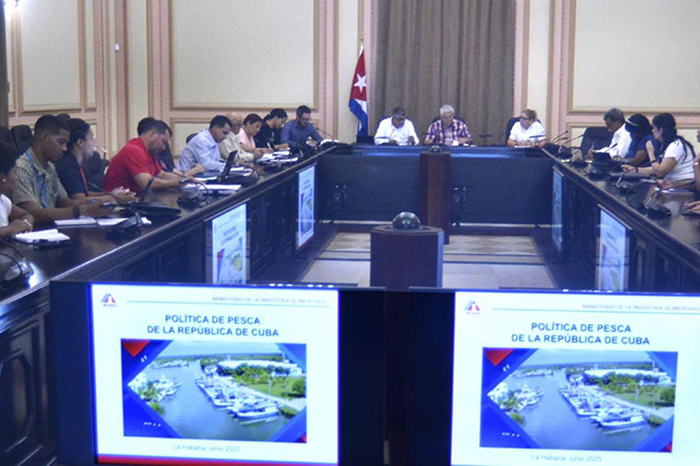 Imagen no encontrada