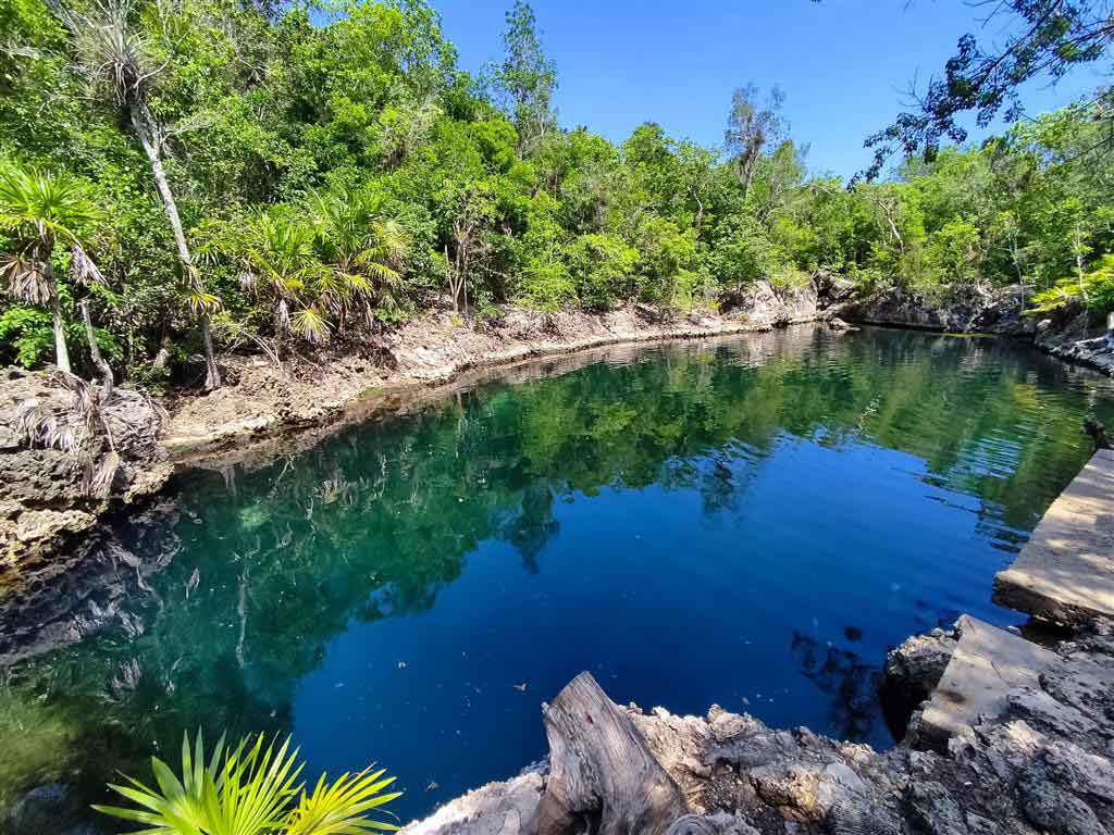 Imagen no encontrada