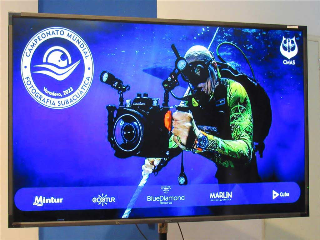 Cubanos se titulan en Campeonato Mundial de fotografía submarina