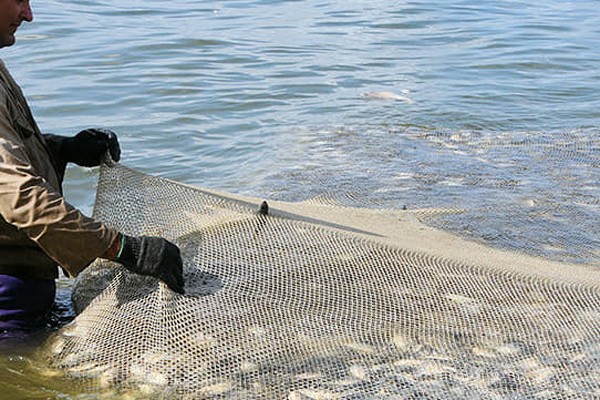 Imagen no encontrada