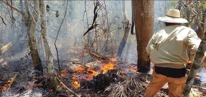 Environ 500 hectares de forêts touchées par un incendie de forêt à Pinar del Río