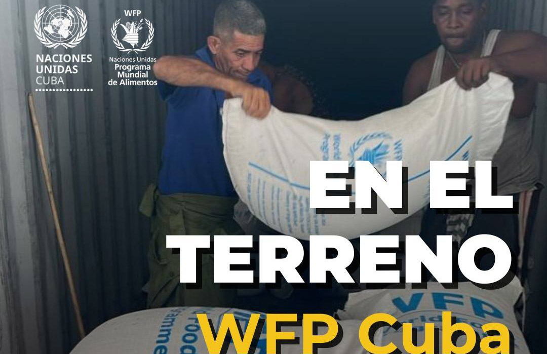 Imagen no encontrada