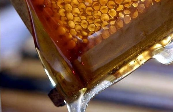 Florida exporte de plus en plus de miel d'abeilles