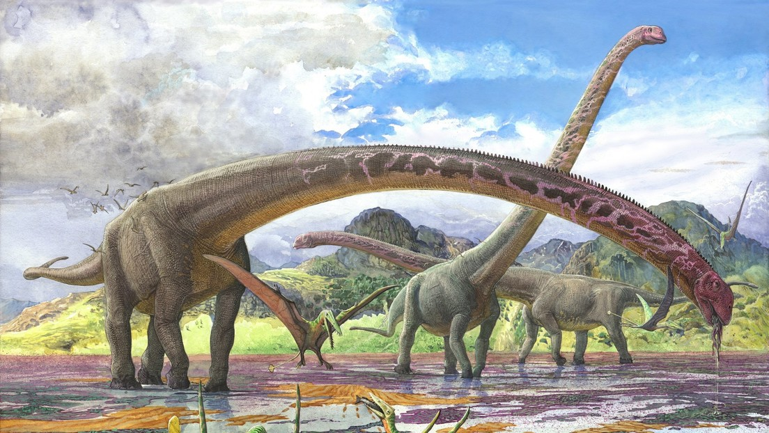 Découverte le fossile de dinosaure avec le plus long cou connu