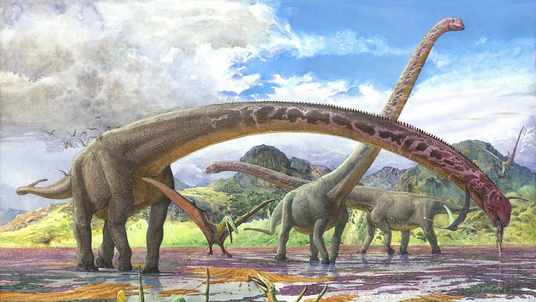 Descubren el fósil de dinosaurio con el cuello más largo conocido 