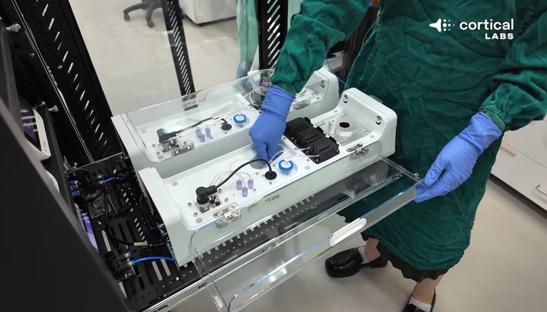 Imagen no encontrada