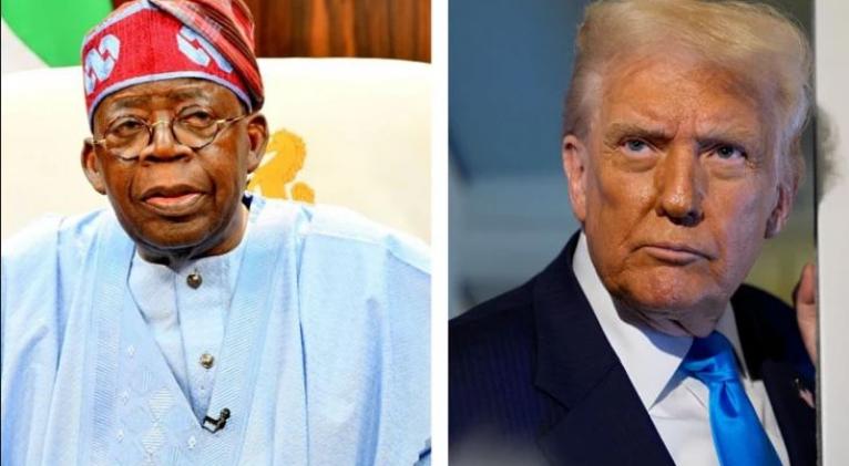 Imagen no encontrada