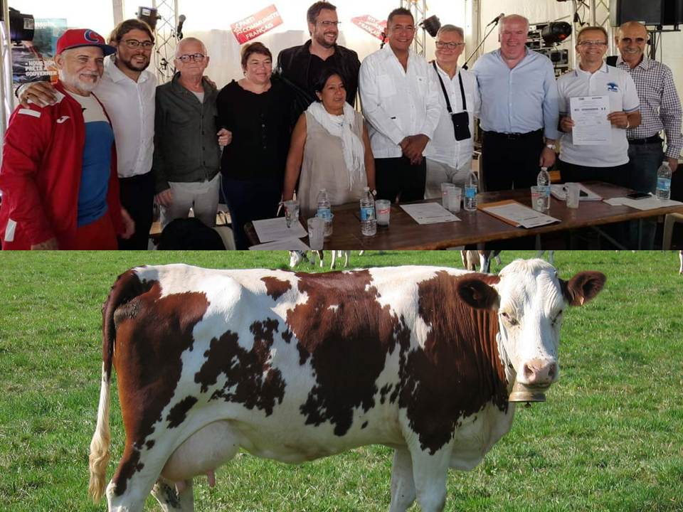 Cuba's livestock sector receives solidarity support from France