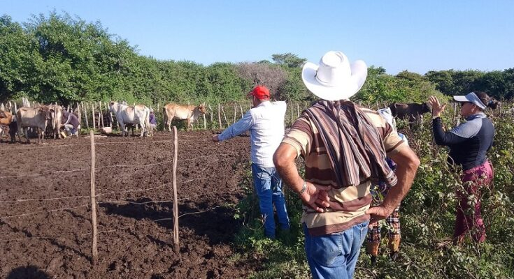 Imagen no encontrada