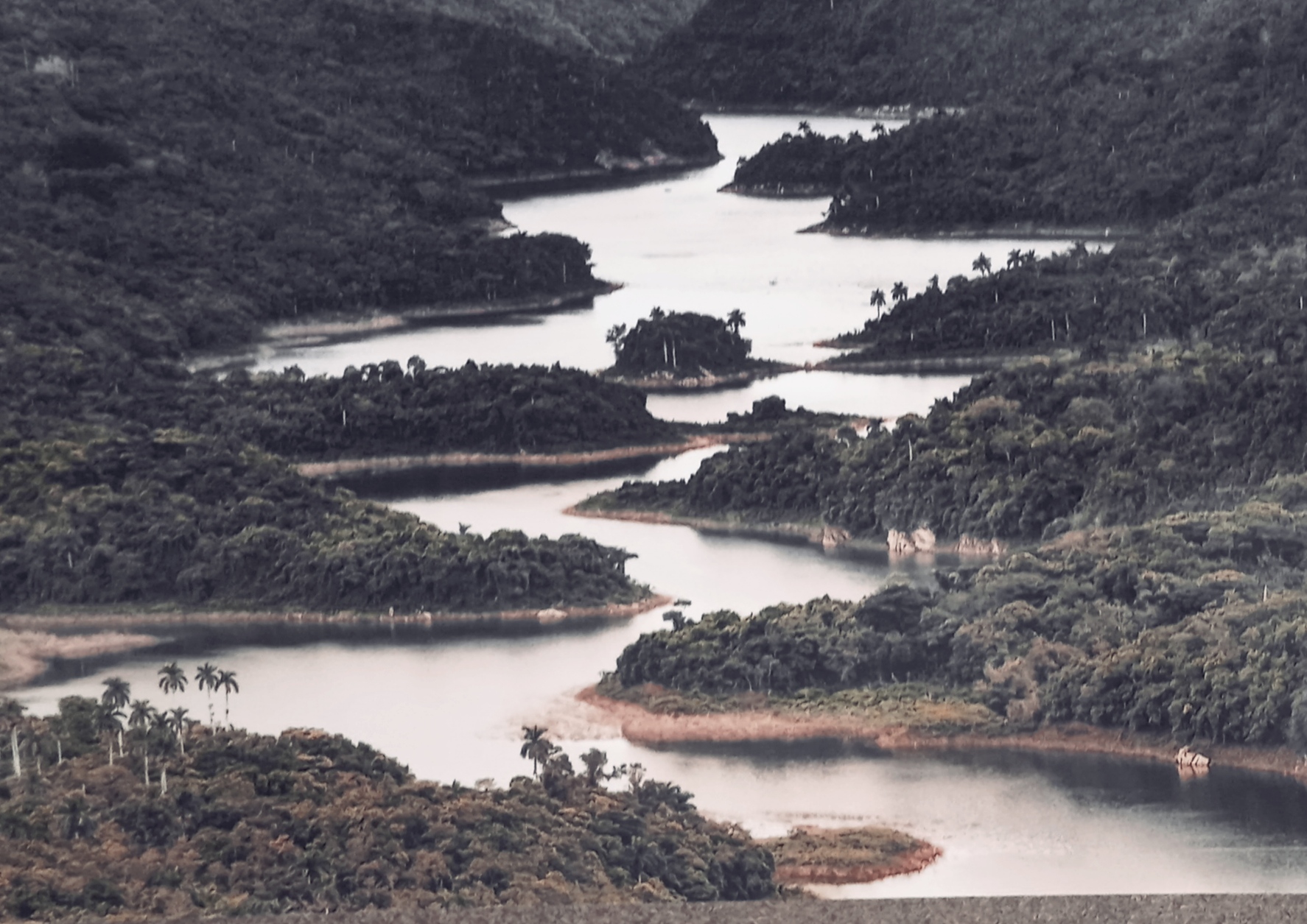 Cuba única y diversa, homenaje a la luz y el instante (+ Fotos)