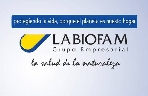 Imagen no encontrada