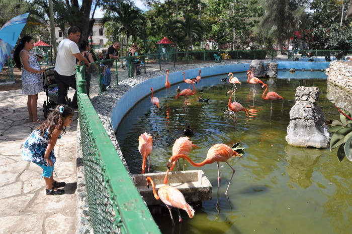 Imagen no encontrada