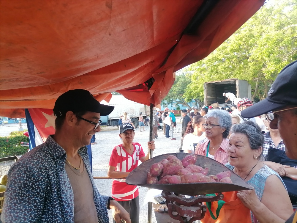 Imagen no encontrada