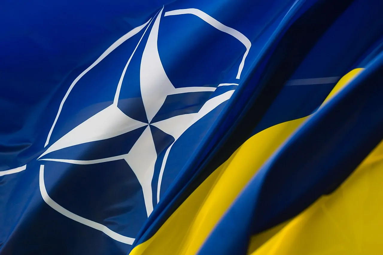 Estados Unidos revela condición para entrada de Ucrania a la OTAN