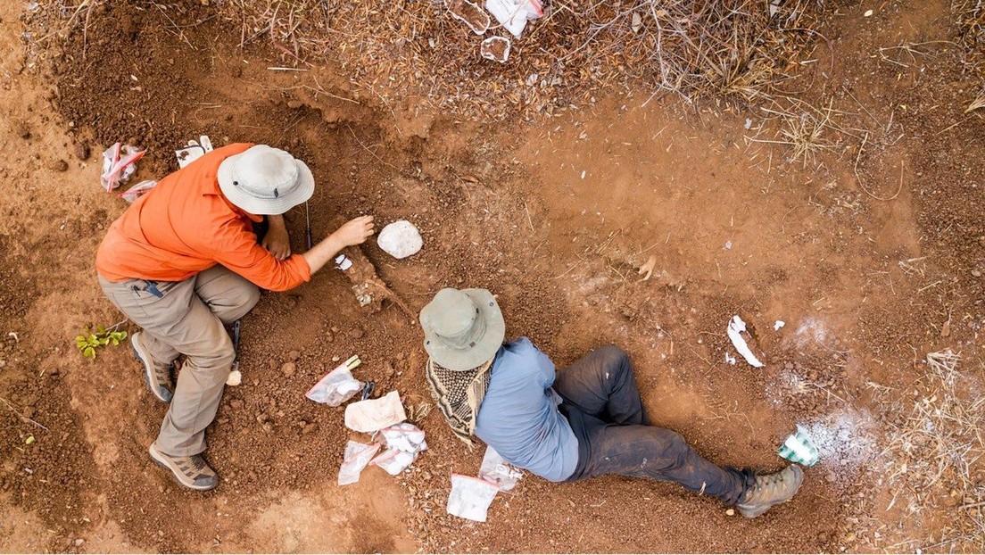     Paleontologists discover the oldest dinosaur in Africa    