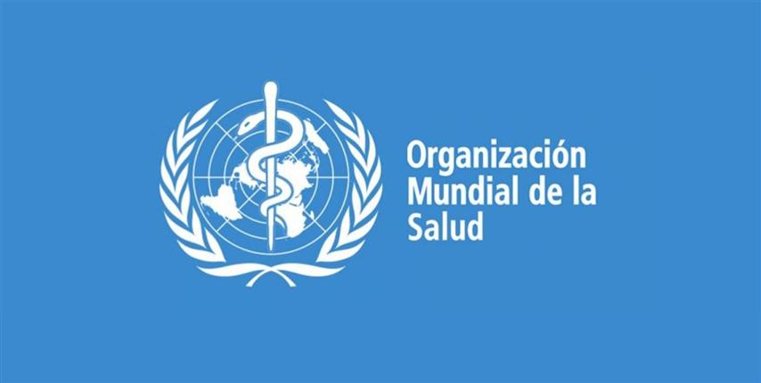 United Nations organizations denounce attacks on Gaza's health system