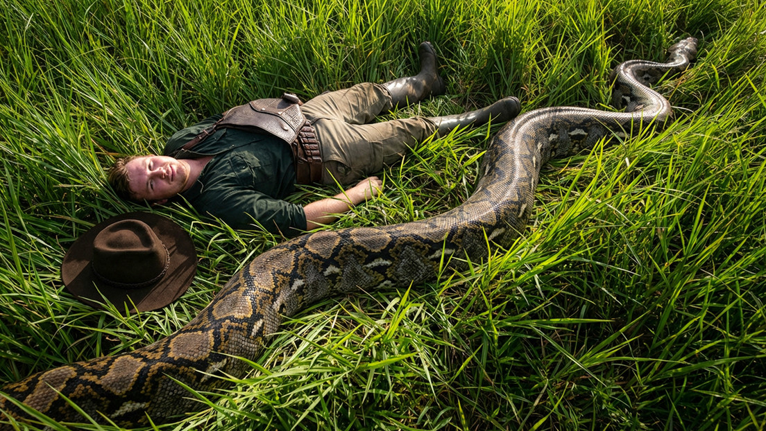 Imagen no disponible