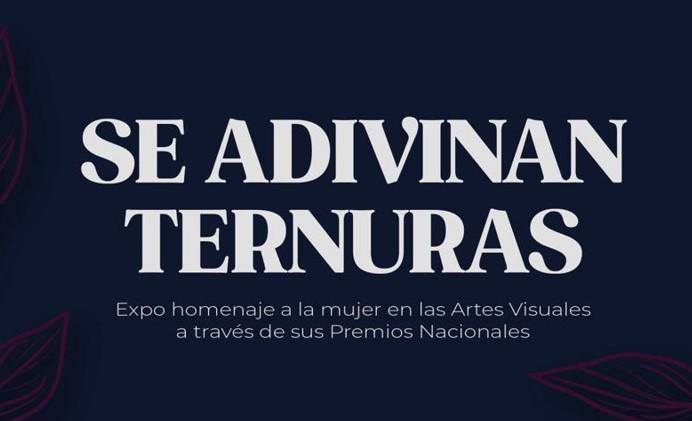 Se Adivinan Ternuras exhibition in tribute to women