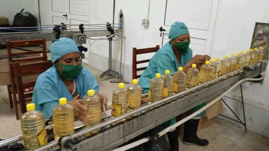 Imagen no encontrada