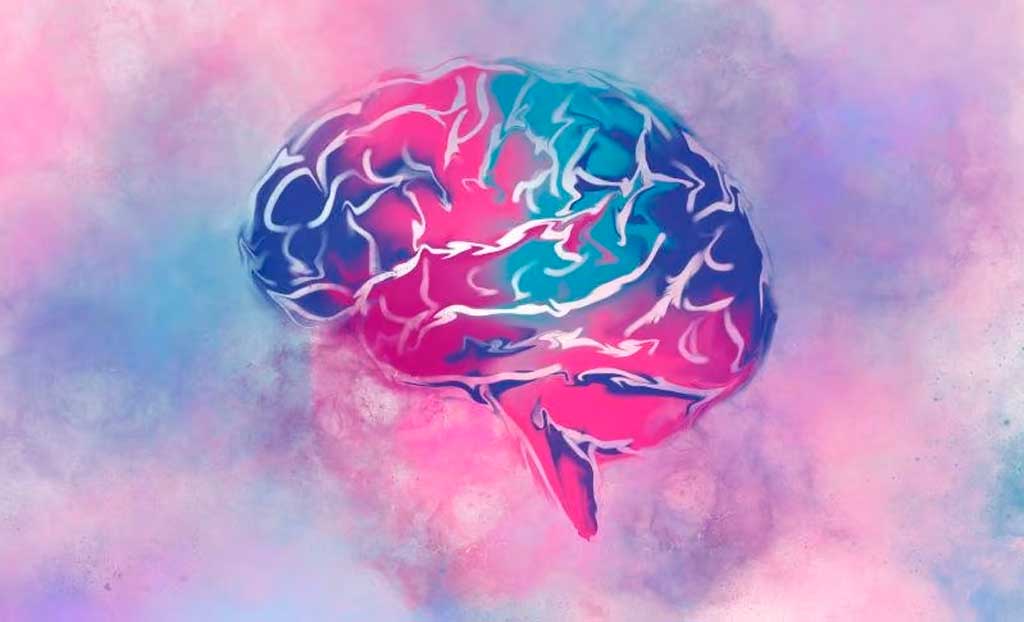  Effects of sleep and exercise could last up to 15 days in the brain