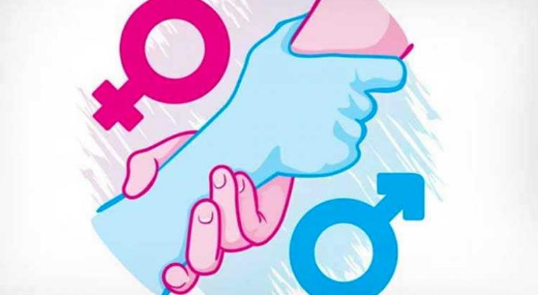 Imagen no encontrada