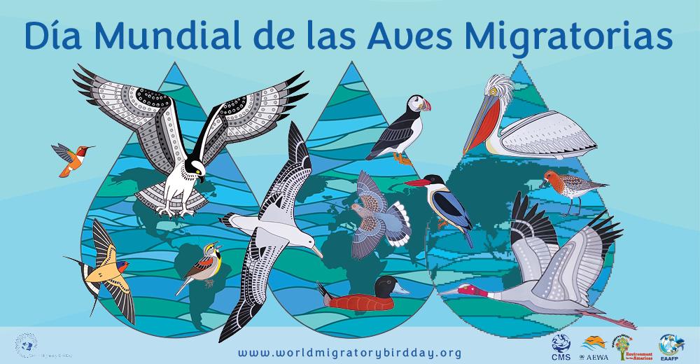 Imagen no encontrada