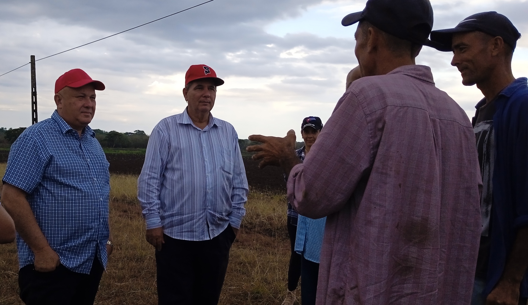 Llaman en Camagüey a fortalecer siembra de cultivos varios y ganadería