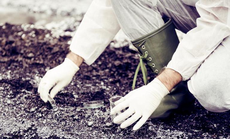 Russian university creates additive to restore contaminated soils