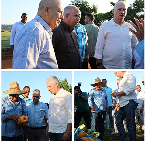 Imagen no encontrada