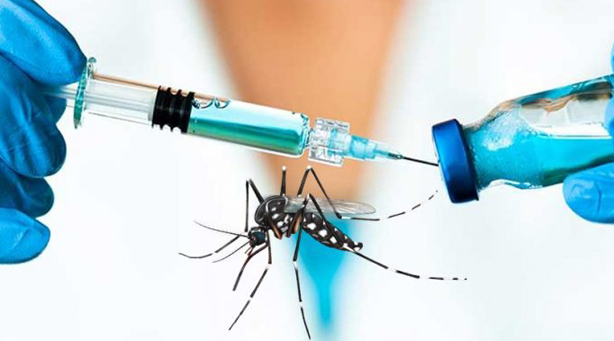 Vacuna contra el zika emerge como opción contra el cáncer cerebral