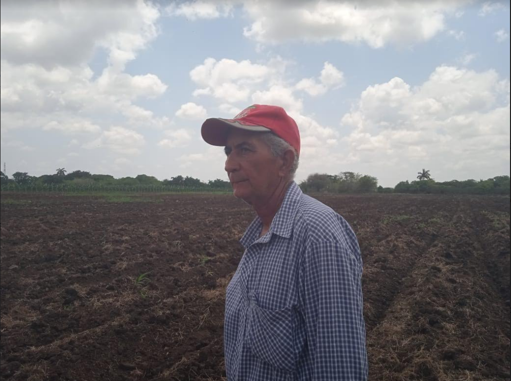 El Tamarindo, un ejemplo de trabajo con la ciencia