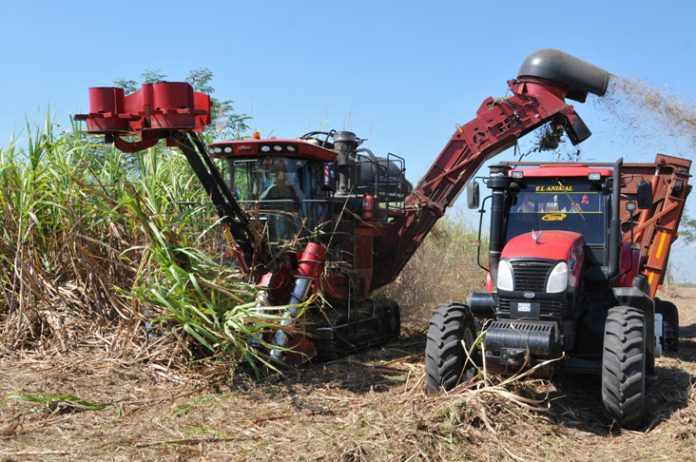 Sugarcane operators: key to millionaire contribution to the economy (+ Photos)