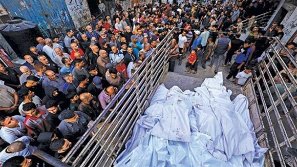 Imagen no encontrada