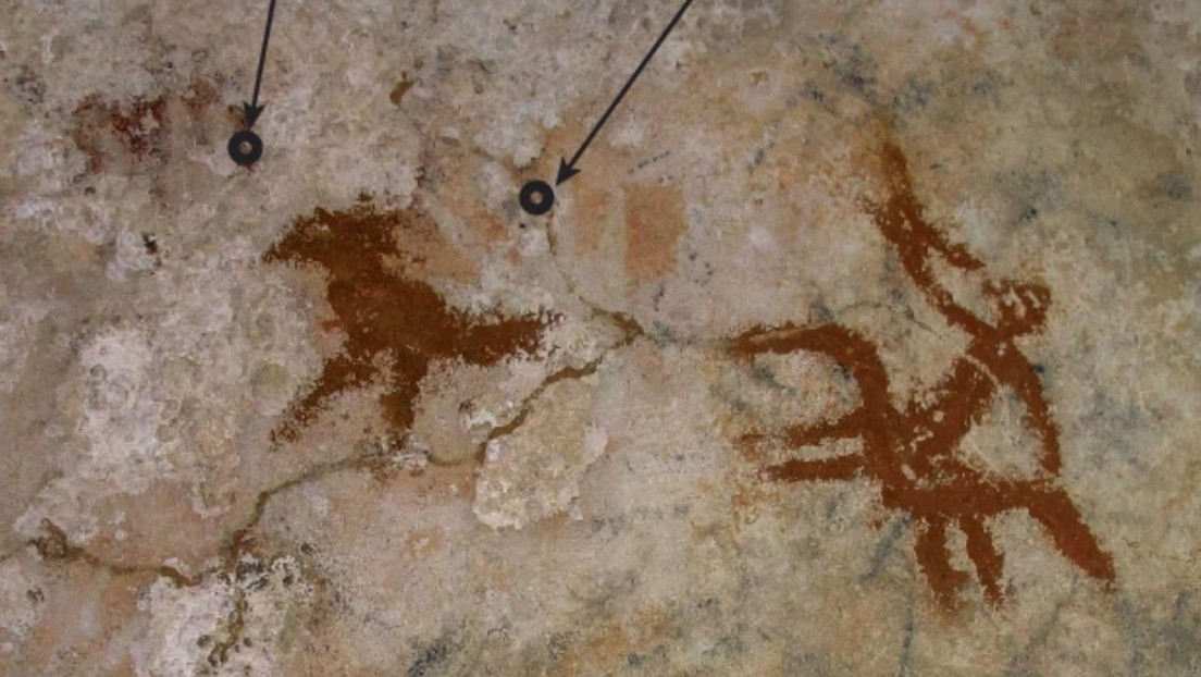 Imagen no encontrada