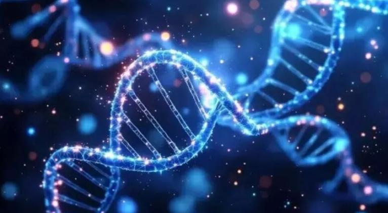 Imagen no encontrada