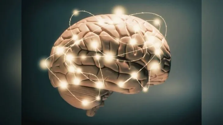 Début de la Semaine mondiale du cerveau