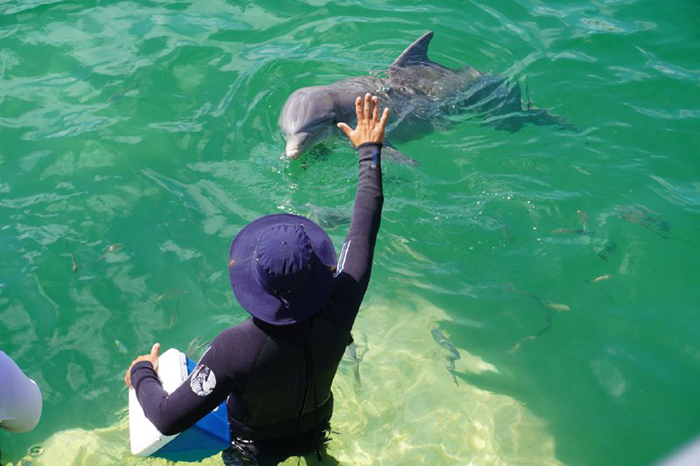 Improved environmental management in the Cayo Coco dolphinarium