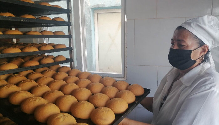 Imagen no encontrada