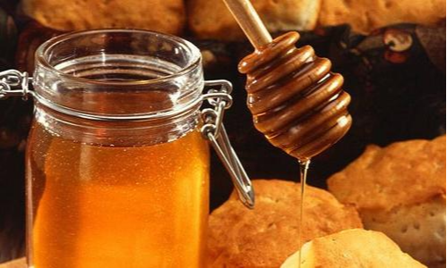 Cuba et la Guyane renforcent leurs liens pour stimuler la production de miel d'abeille