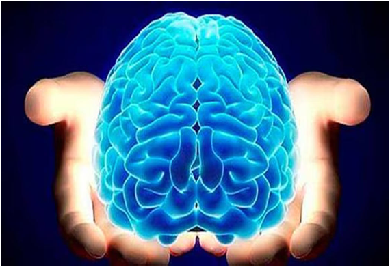 World Brain Day