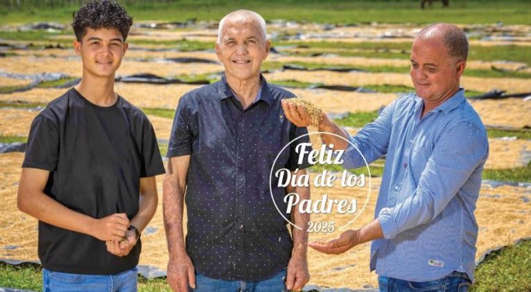Imagen no encontrada