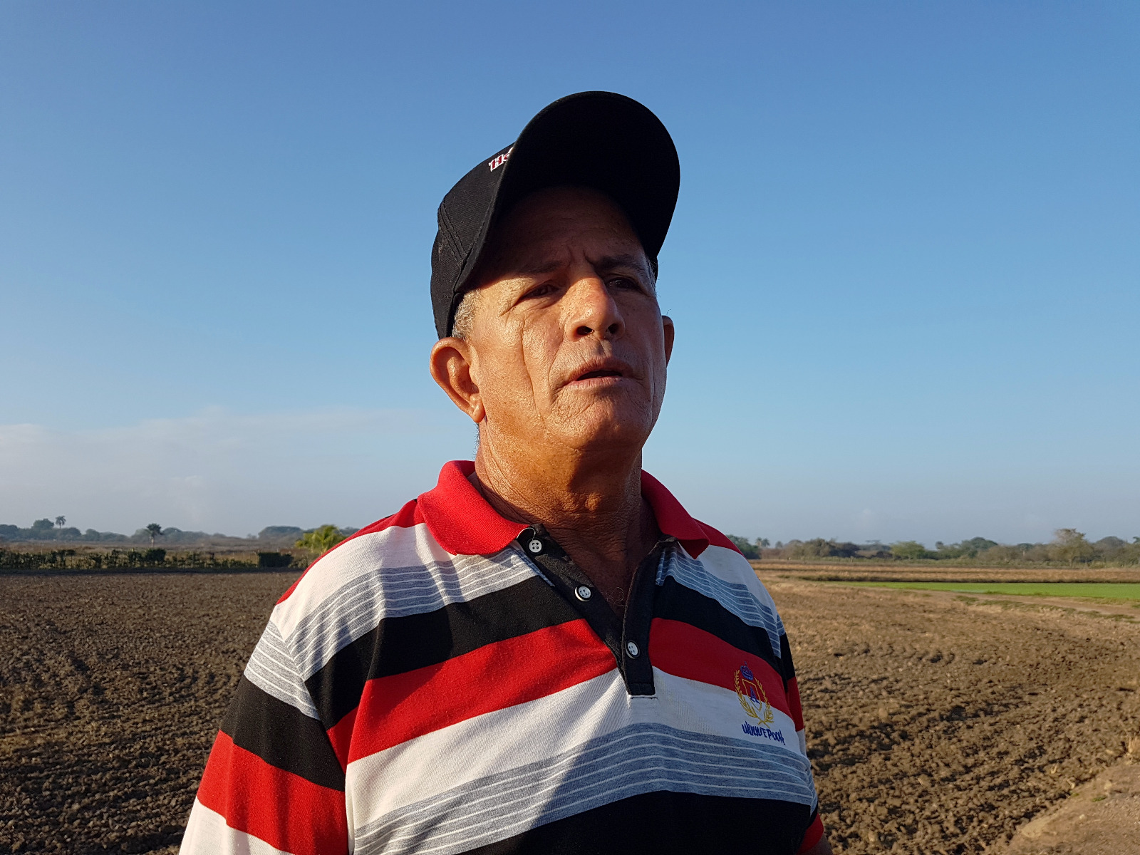 Titi Puerta, a rice farmer from Camagüey with results to multiply (+ Audio)