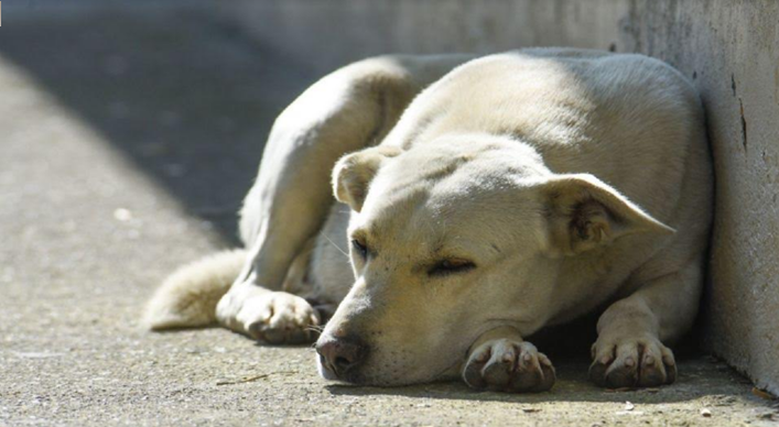 Imagen no encontrada