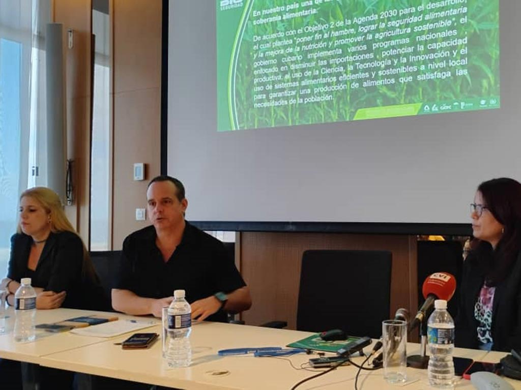 Imagen no encontrada