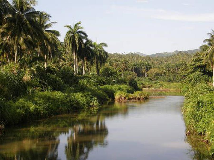 Cuba has 231 protected areas with high ecological value