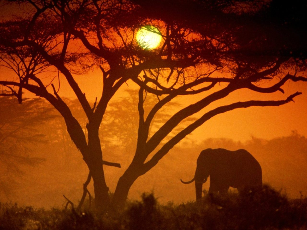 Activists demand better climate policies in Africa