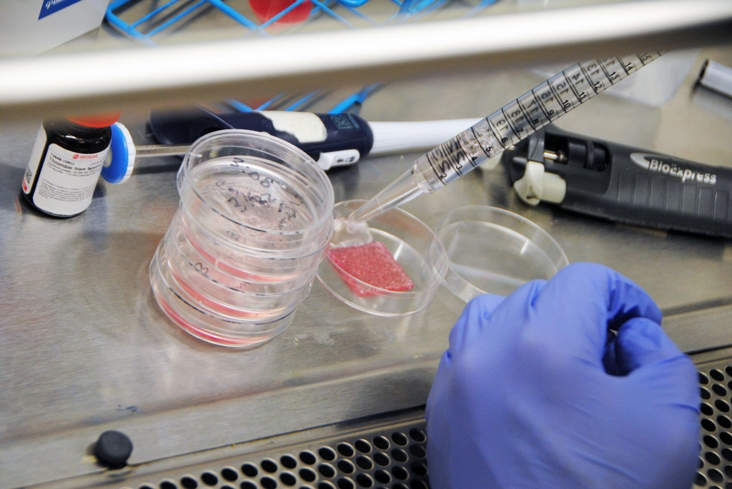 Científicos crean piel humana bioimpresa en laboratorio